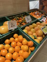 CITRUS SEIZOEN
